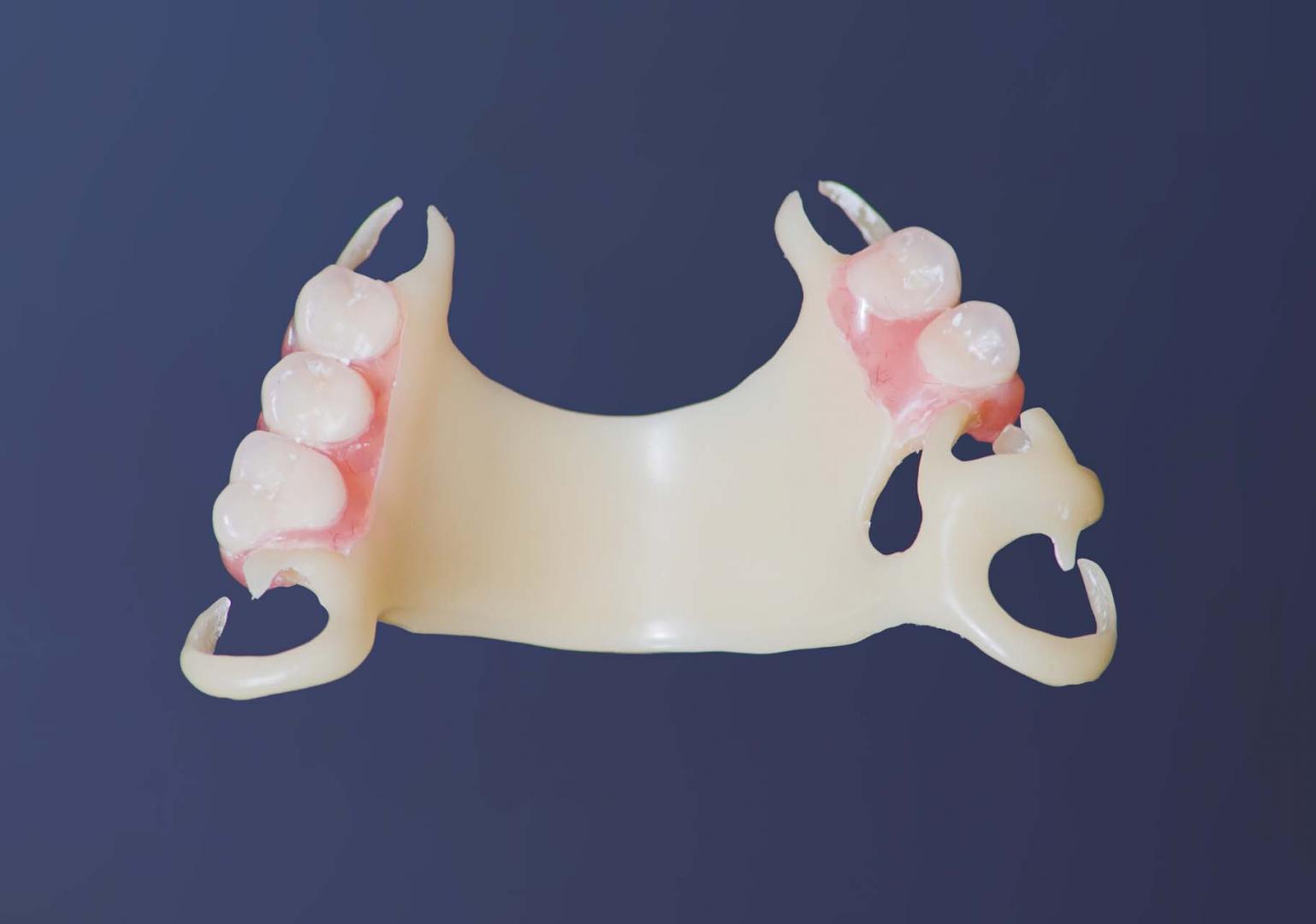 Sho Dental Laboratory